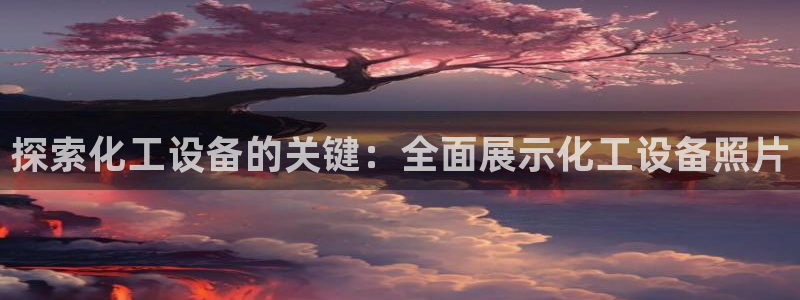 美狮贵宾会开了几年了吗