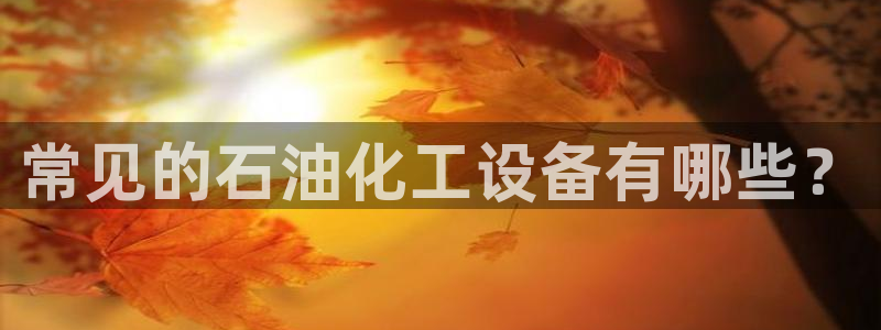 美狮国际控股集团